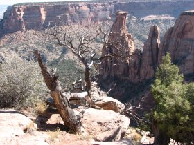 Eroded Geologic Topology